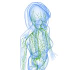 RJM Therapy - Lymphoedema